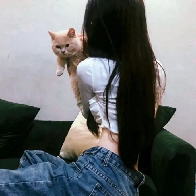 灰姑娘的玻璃手机 在线观看